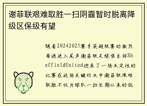 谢菲联艰难取胜一扫阴霾暂时脱离降级区保级有望